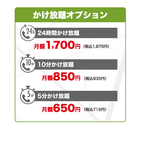 かけ放題オプション