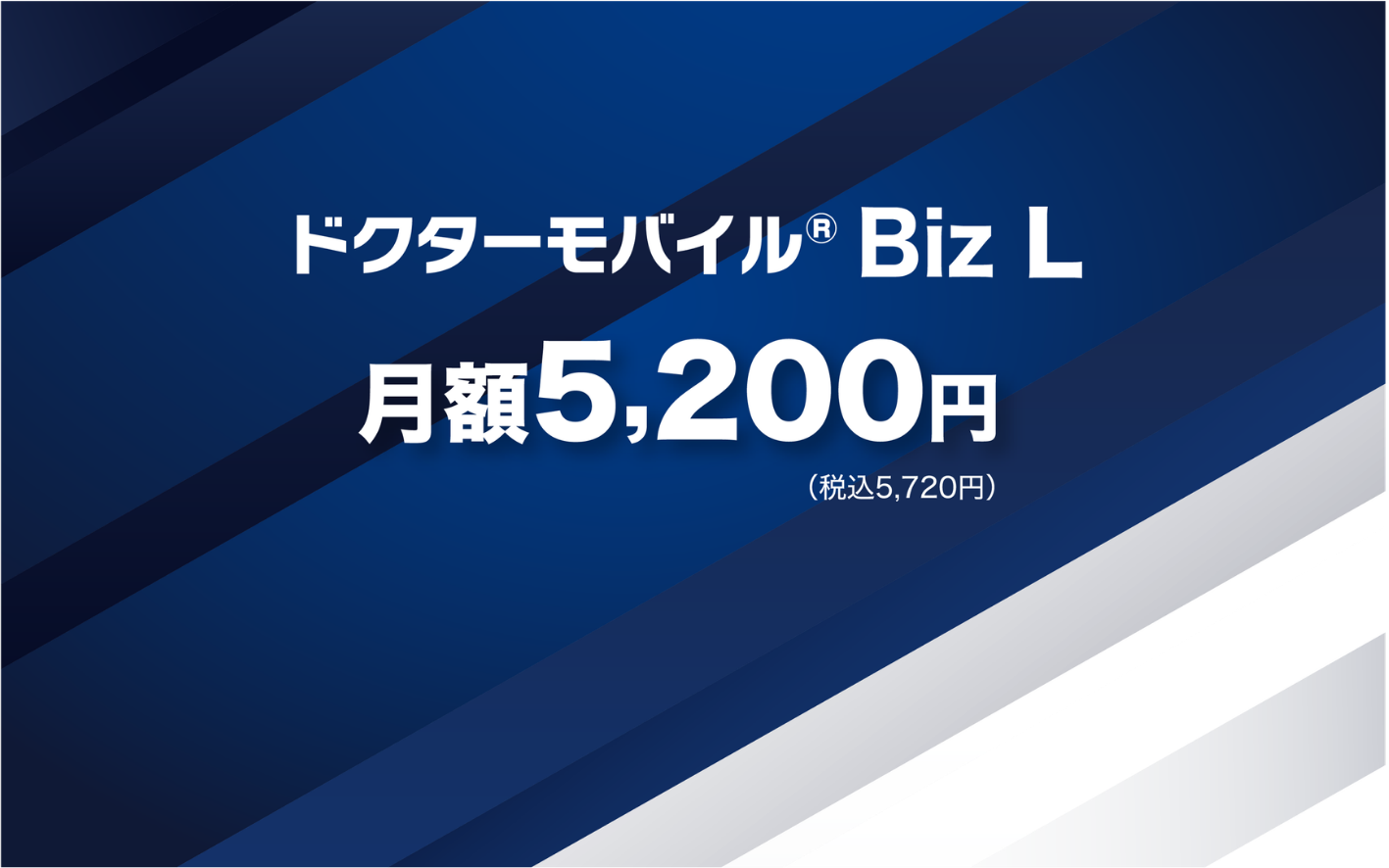 Biz L