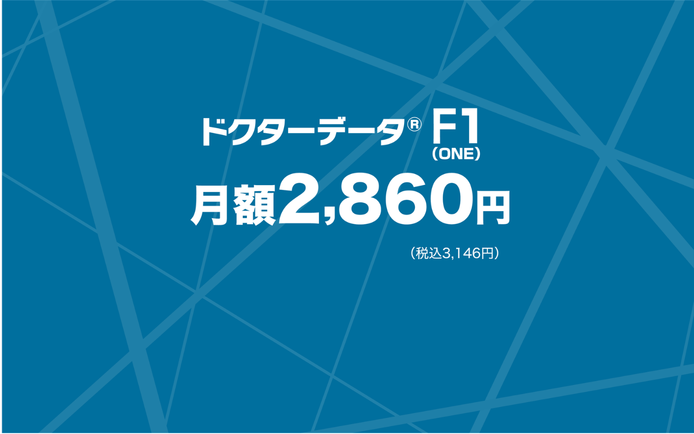 ドクターデータ F1